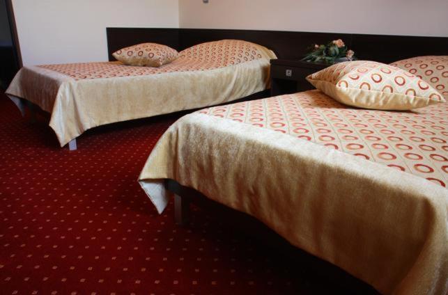 Hotel Wasik Krogulcza Habitación foto