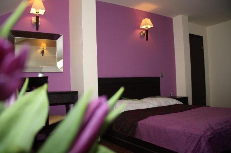 Hotel Wasik Krogulcza Habitación foto
